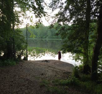 Camper-submitted photo from Pocomoke River State Park Campground