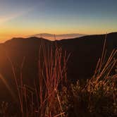 Review photo of Hosmer Grove Campground — Haleakalā National Park by SwitchbackKids , July 3, 2017