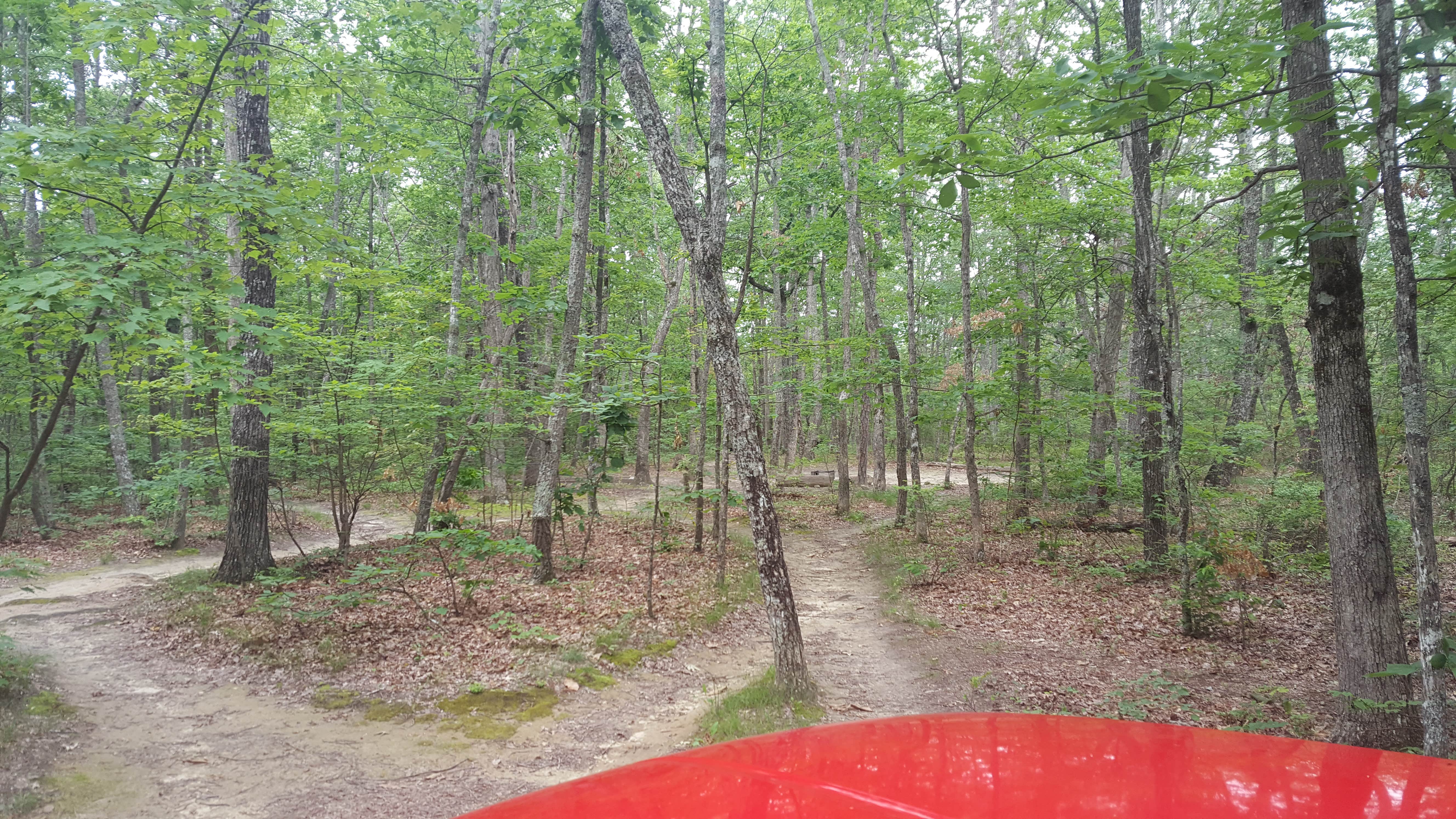 Camper submitted image from Cloudland Canyon State Park Campground - 4