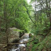 Review photo of Cloudland Canyon State Park Campground by Melissa K., July 3, 2017