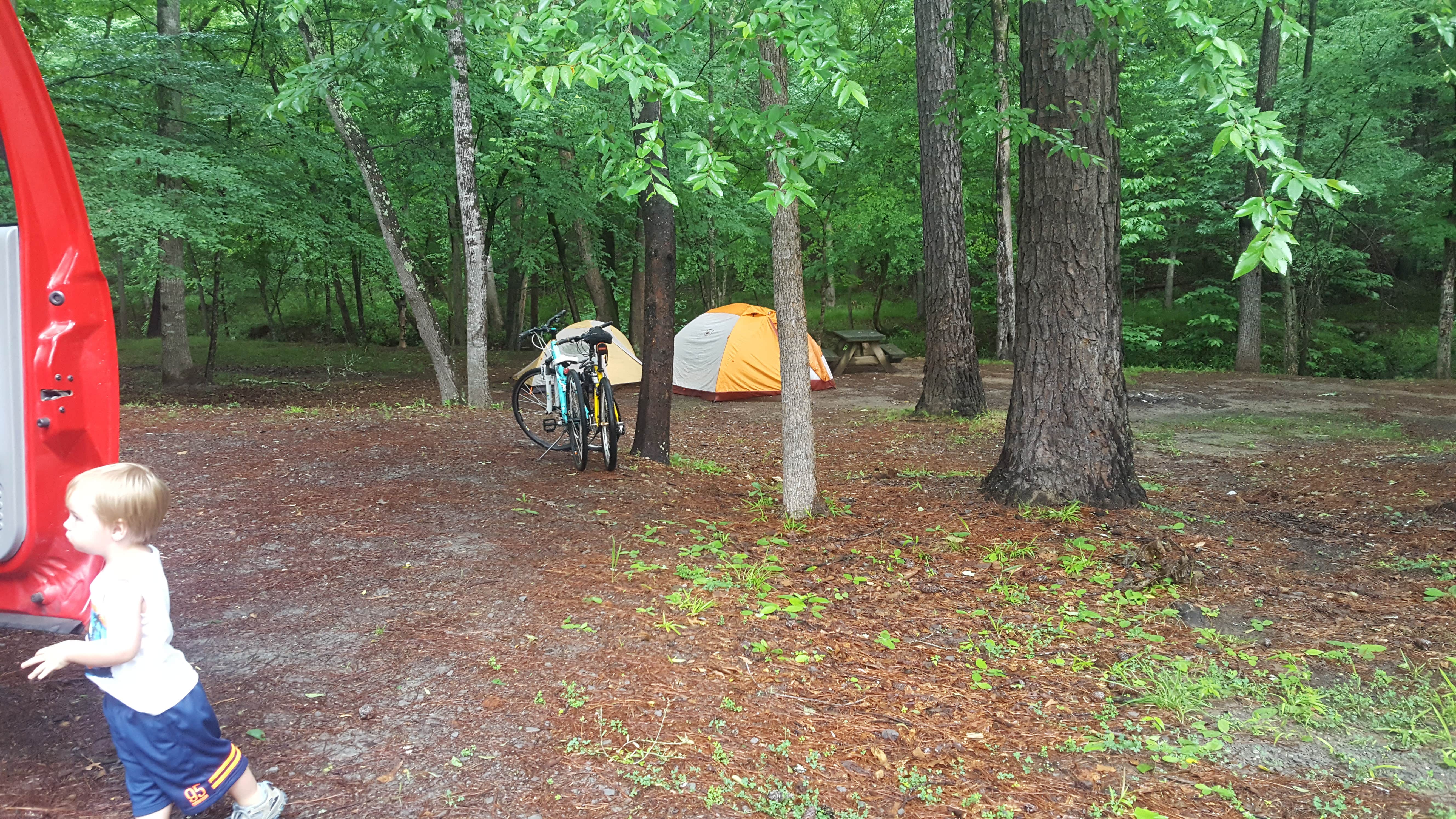 Camper submitted image from Tannehill Ironworks Historical State Park Campground - 4