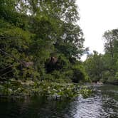Review photo of Wekiwa Springs State Park Campground by Sean D., June 23, 2016