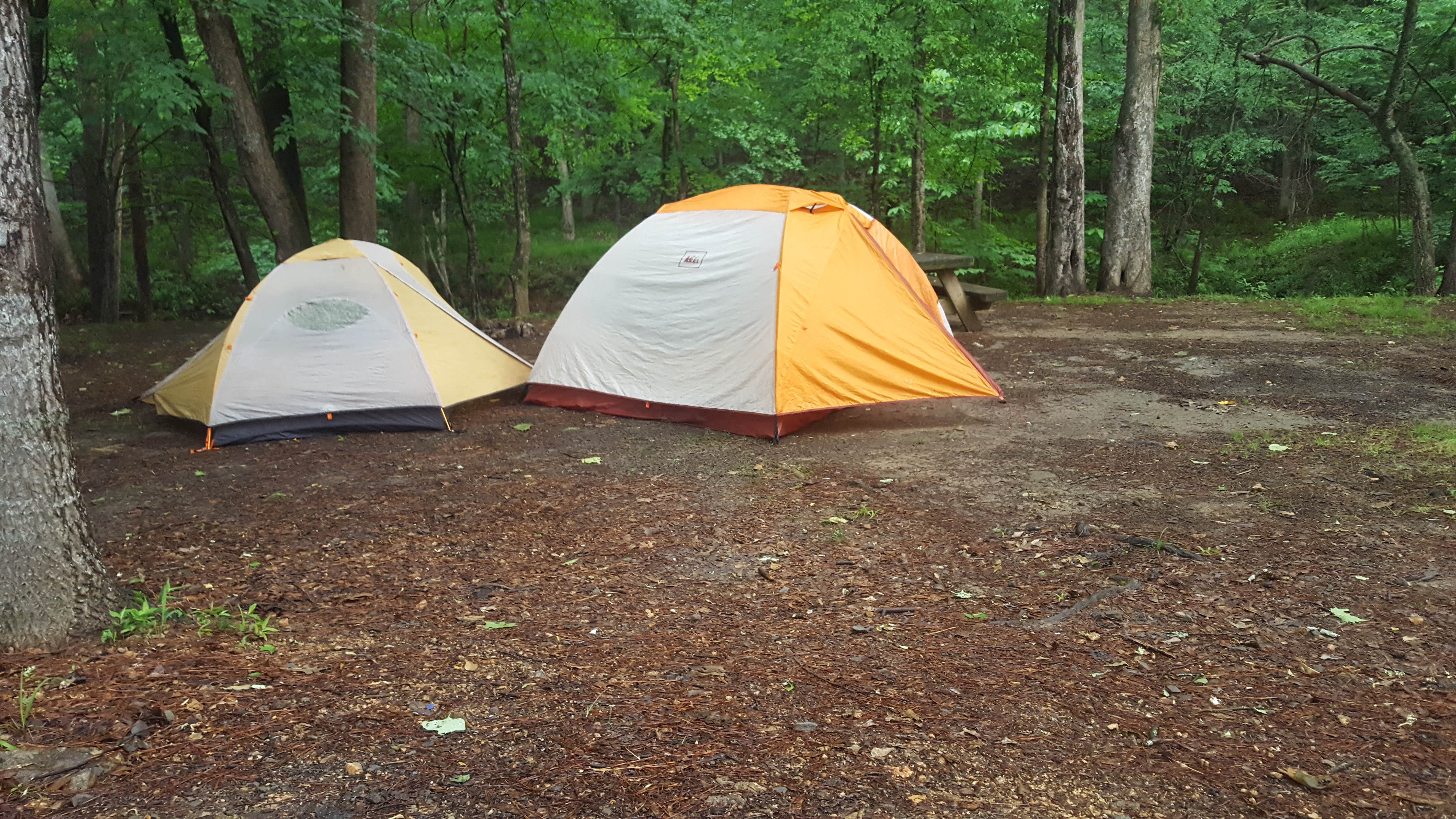 Melissa K.'s photo at Tannehill Ironworks Historical State Park Campground near Alabaster, AL