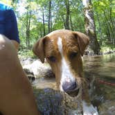 Review photo of Cosby Campground — Great Smoky Mountains National Park by Sarah C., July 3, 2017