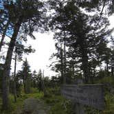 Review photo of Cosby Campground — Great Smoky Mountains National Park by Sarah C., July 3, 2017