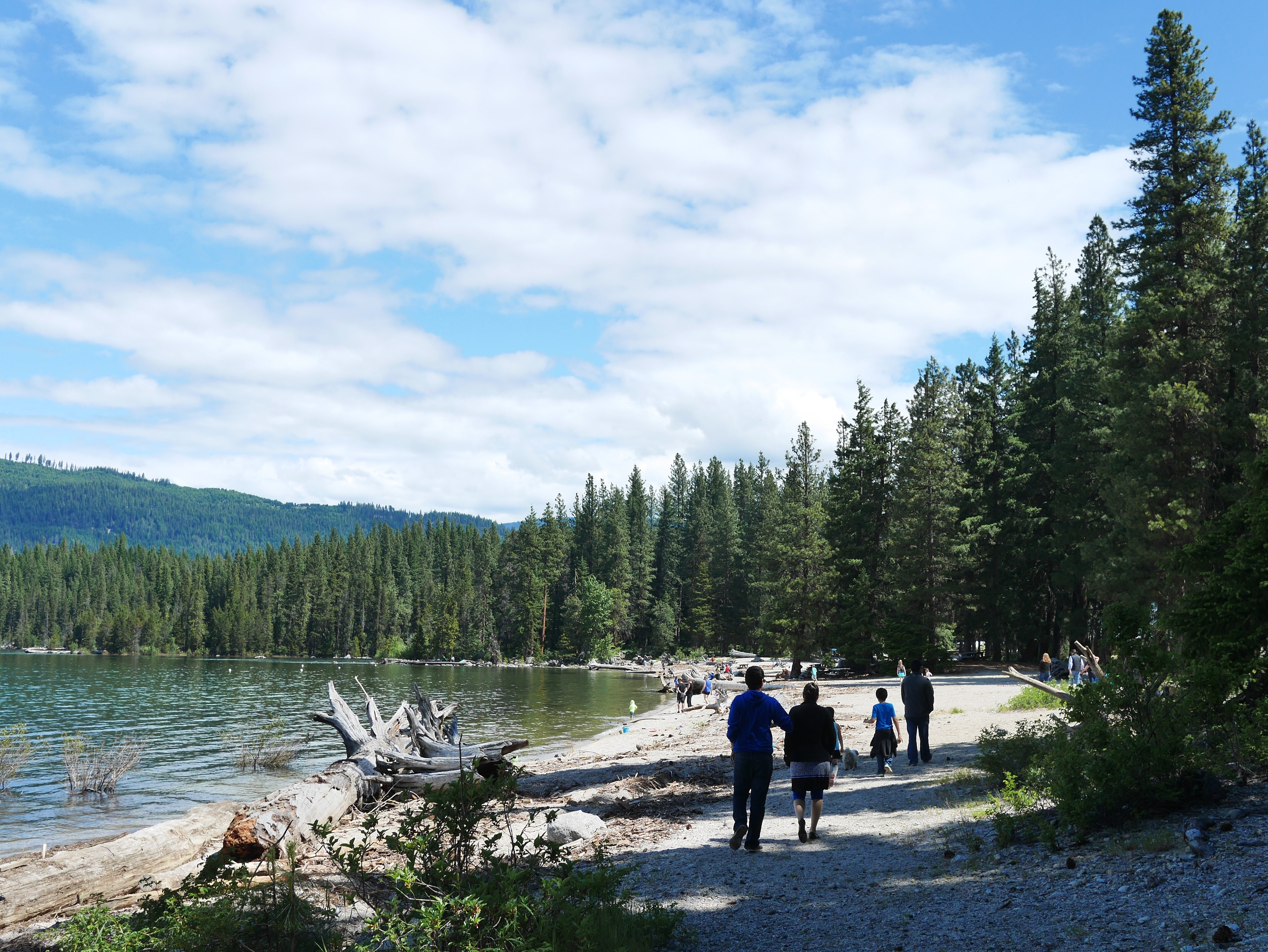 Camper submitted image from Lake Wenatchee State Park Campground - 2