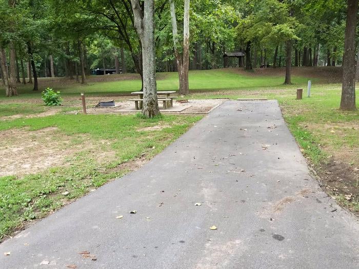 Camper submitted image from Maumelle Park - 4