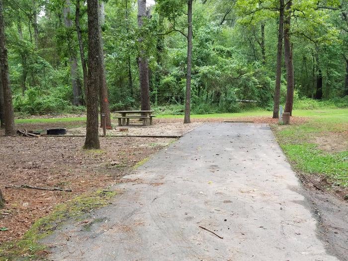 Camper submitted image from Maumelle Park - 3