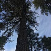 Review photo of Twin Lakes Resort by Shawna M., July 3, 2017