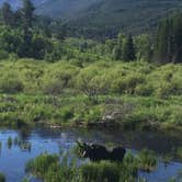 Review photo of Difficult Campground by Laura J., July 3, 2017