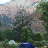 Review photo of Watchman Campground — Zion National Park by Laura J., July 3, 2017