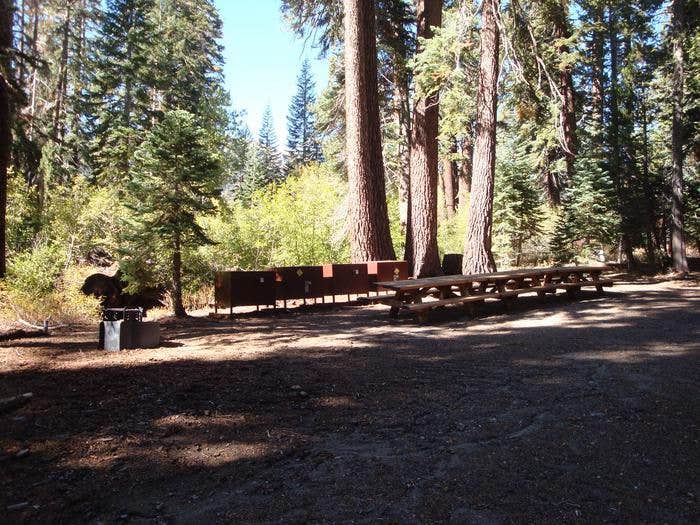 Camper submitted image from Agnew Meadows Group Camp - 2