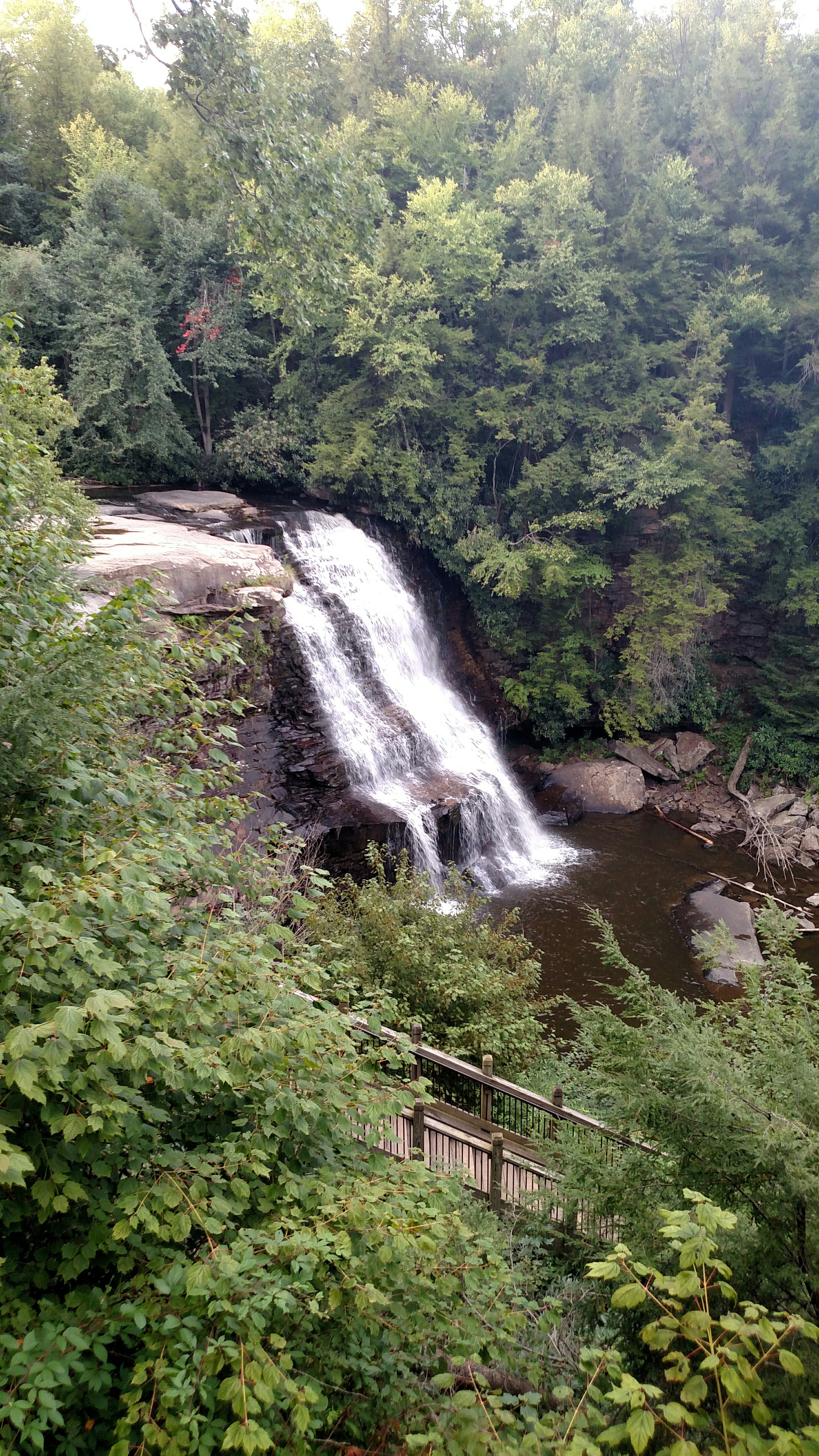 Camper submitted image from Swallow Falls State Park - 3