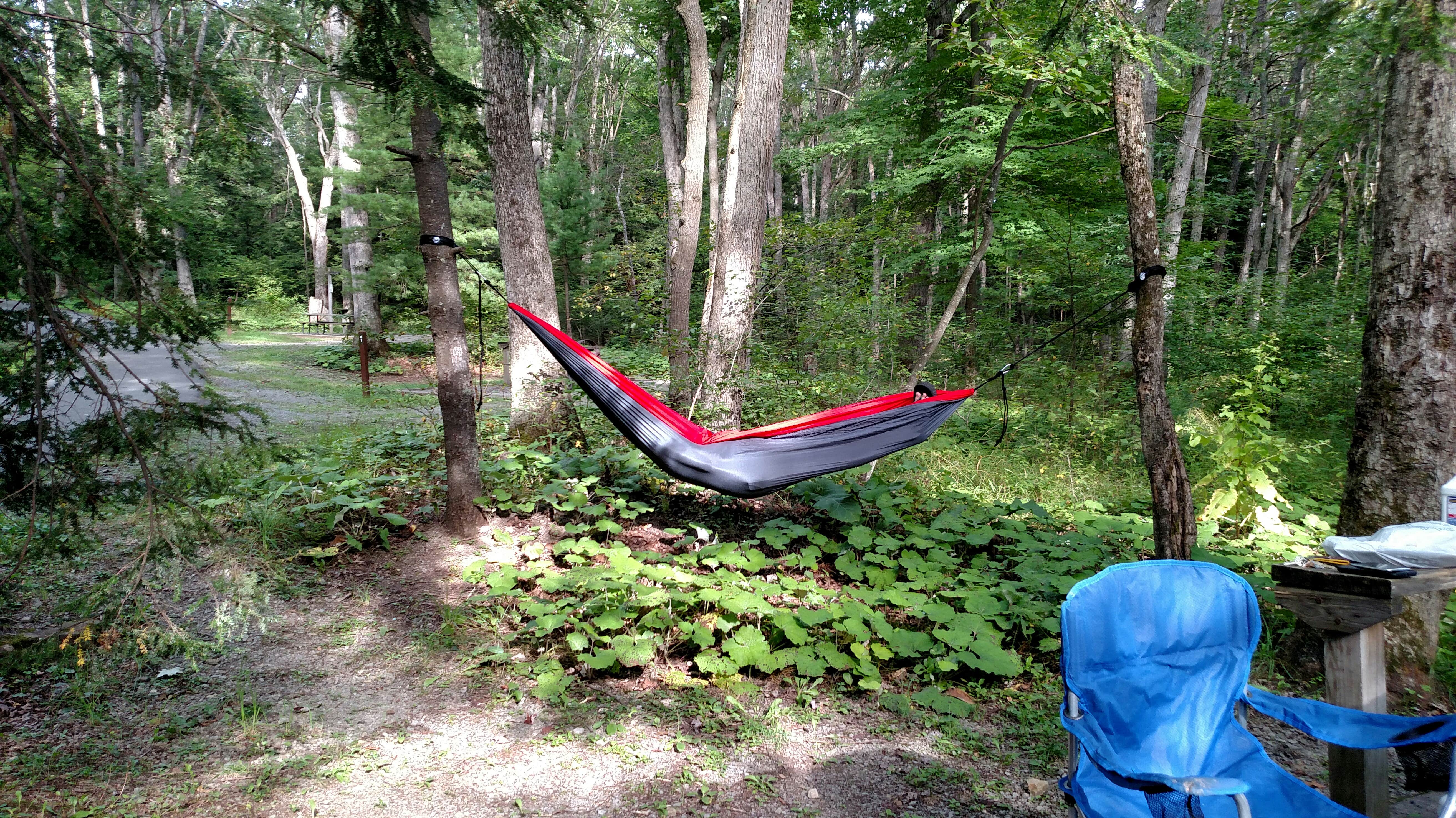 Camper submitted image from Swallow Falls State Park Campground - 2