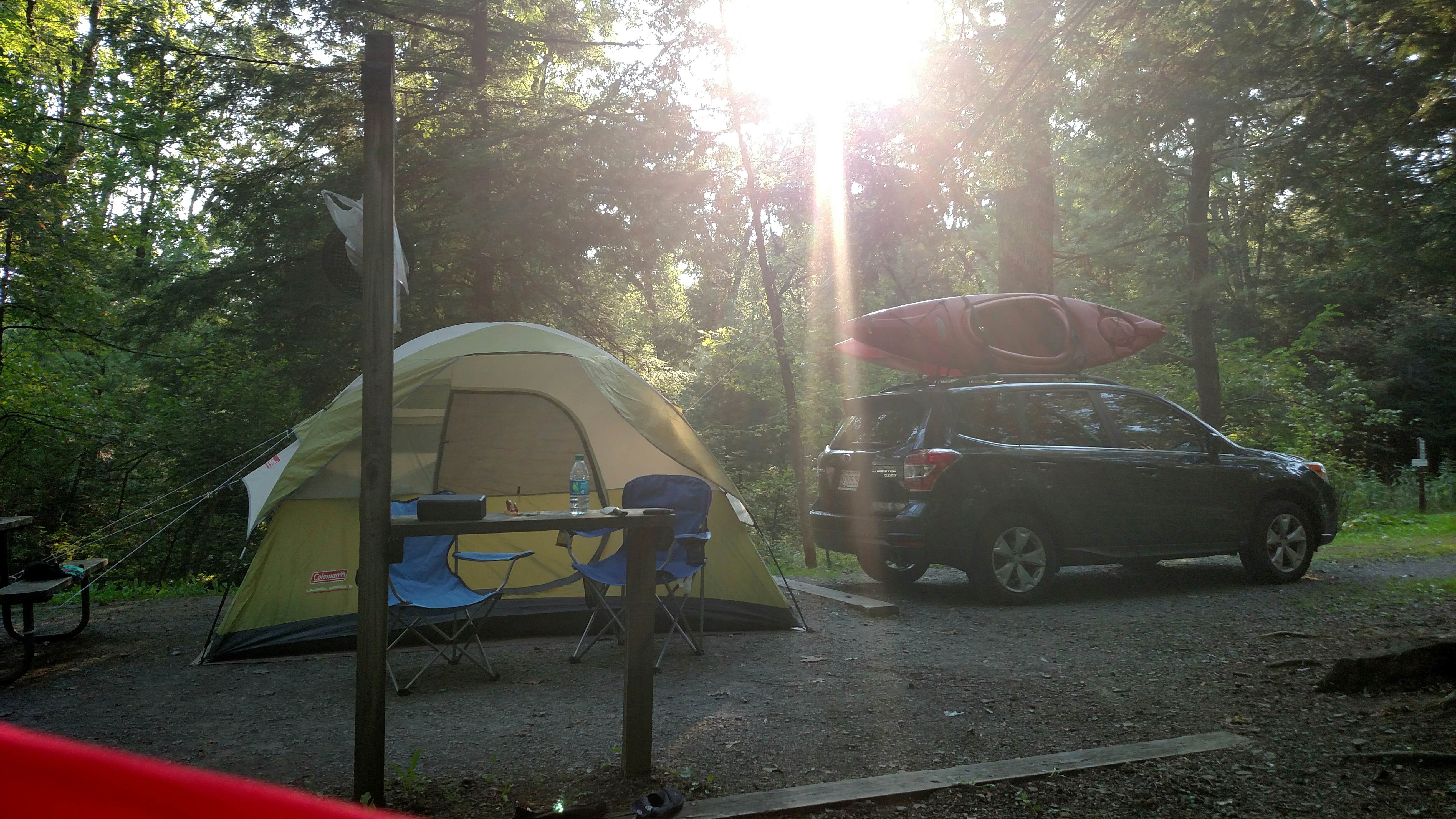 Erin O.'s photo at Swallow Falls State Park Campground near Paw Paw, WV