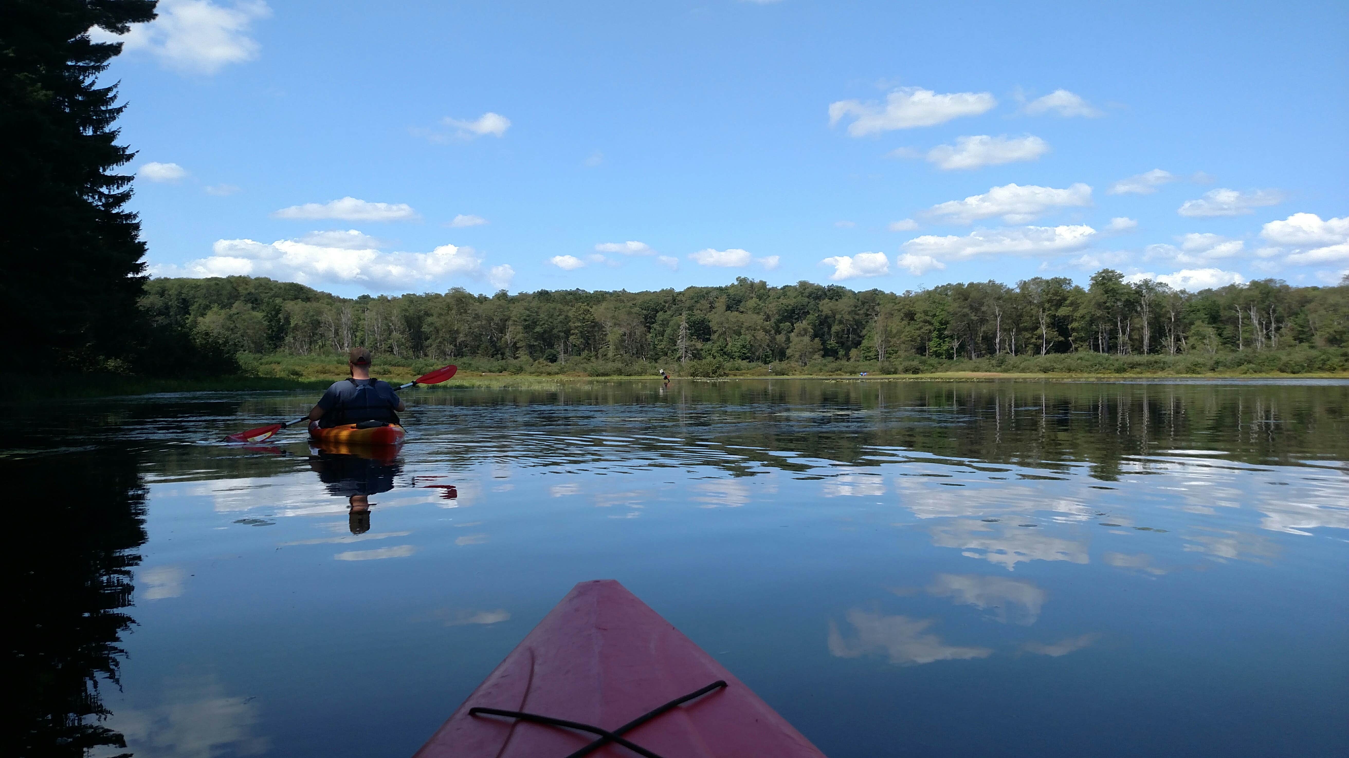 Camper submitted image from Swallow Falls State Park Campground - 4
