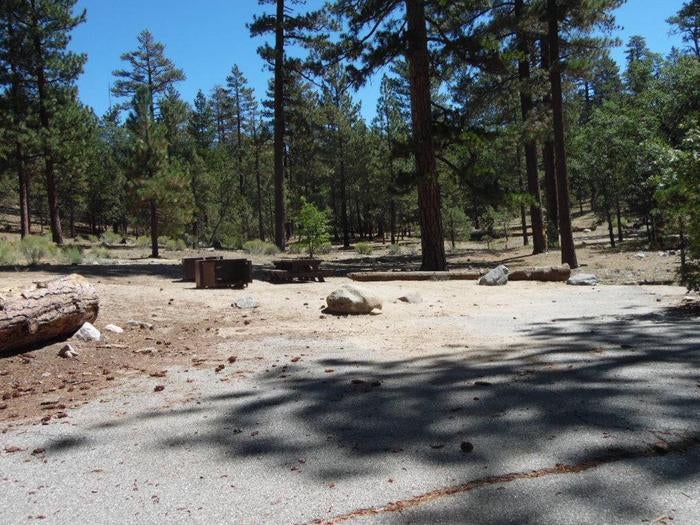 Camper submitted image from Barton Flats Family Campground - 2