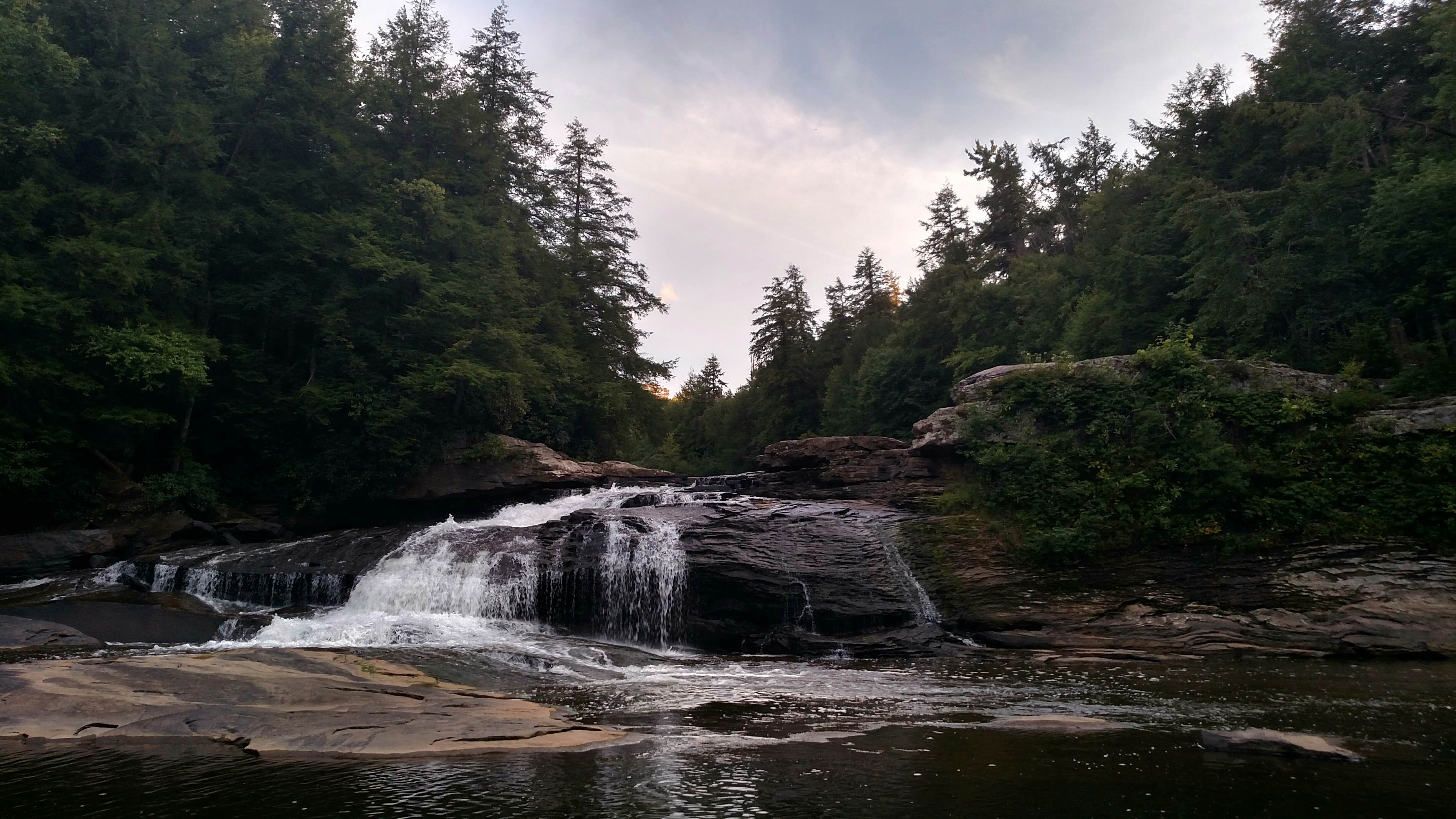 Camper submitted image from Swallow Falls State Park Campground - 2