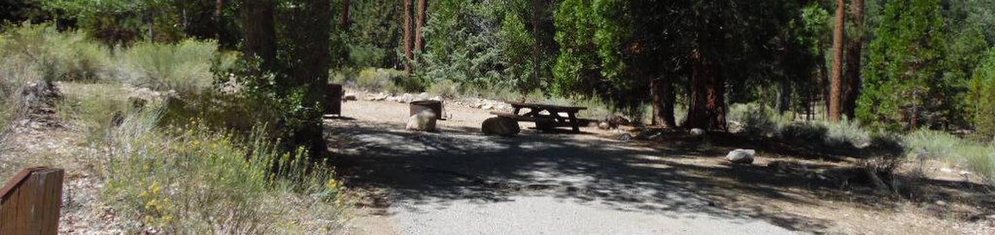 Camper submitted image from Barton Flats Family Campground - 4