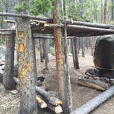 Review photo of Guanella Pass by Laura J., July 3, 2017