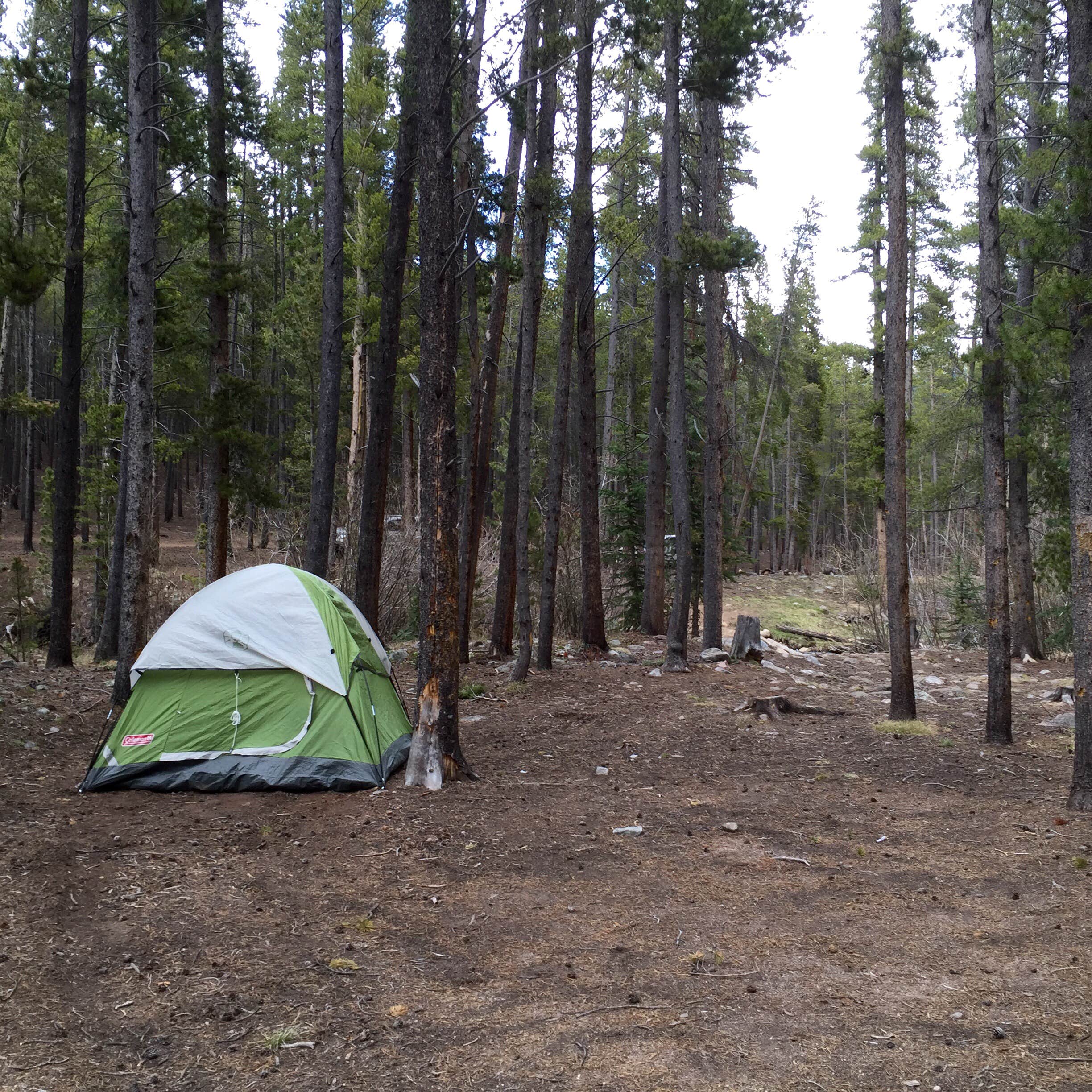Laura J.'s photo at Guanella Pass near Silver Plume, CO