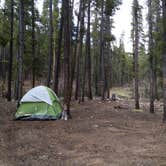 Review photo of Guanella Pass by Laura J., July 3, 2017