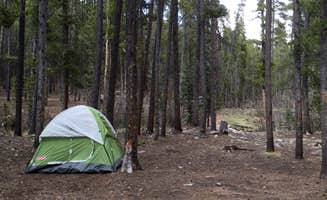 Laura J.'s photo at Guanella Pass near Silver Plume, CO