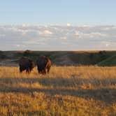 Review photo of Sage Creek Campground by Melissa K., July 3, 2017
