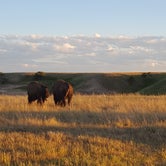 Review photo of Sage Creek Campground — Badlands National Park by Melissa K., July 3, 2017