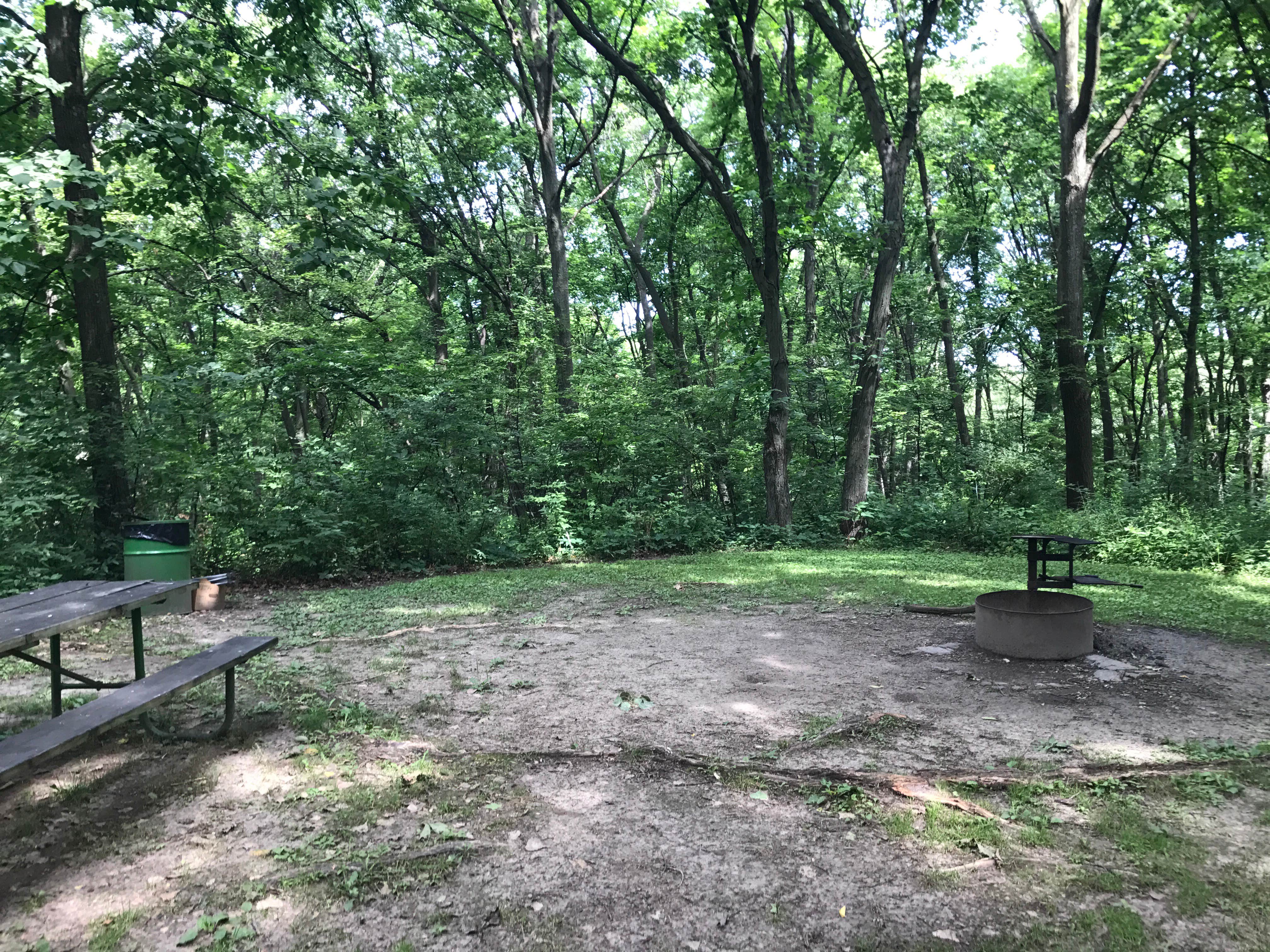 Camper submitted image from Ashton Wildwood Park - 4