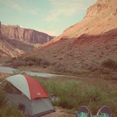 Review photo of Big Bend Group Sites by Laura J., July 3, 2017