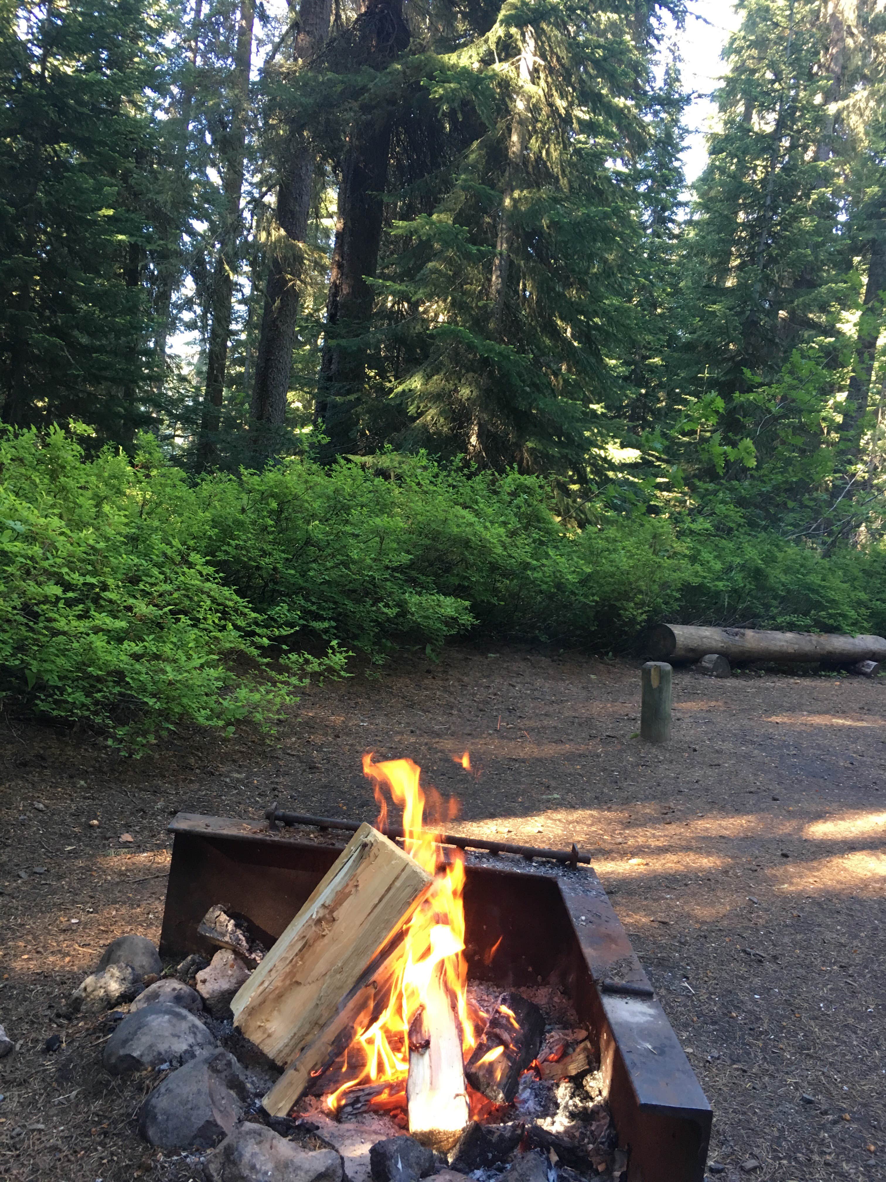 Camper submitted image from Trapper Creek Campground - 2