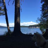 Review photo of Trapper Creek Campground by Sarah K., July 3, 2017