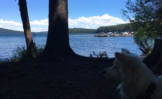 Sarah K.'s photo of camping with pets at Trapper Creek Campground near Chemult, OR