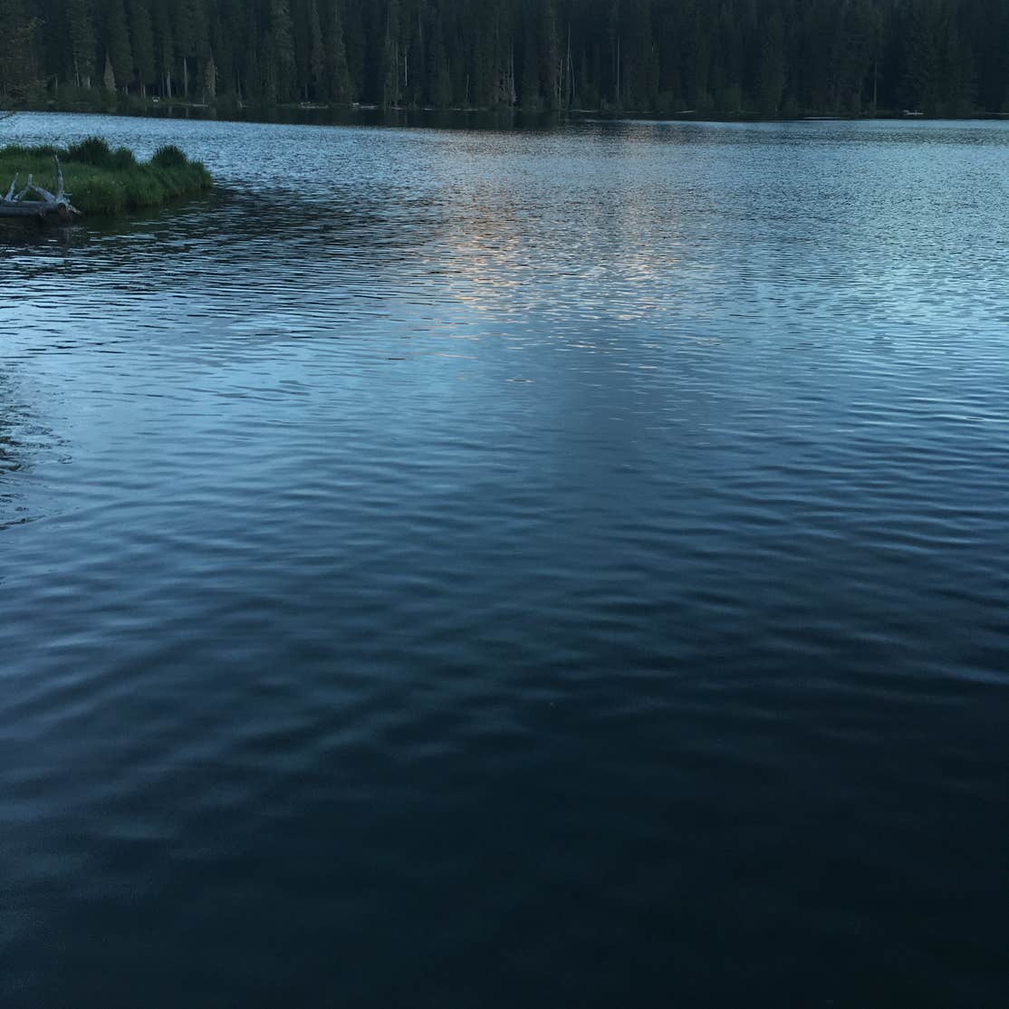 Trapper Creek Campground Camping The Dyrt