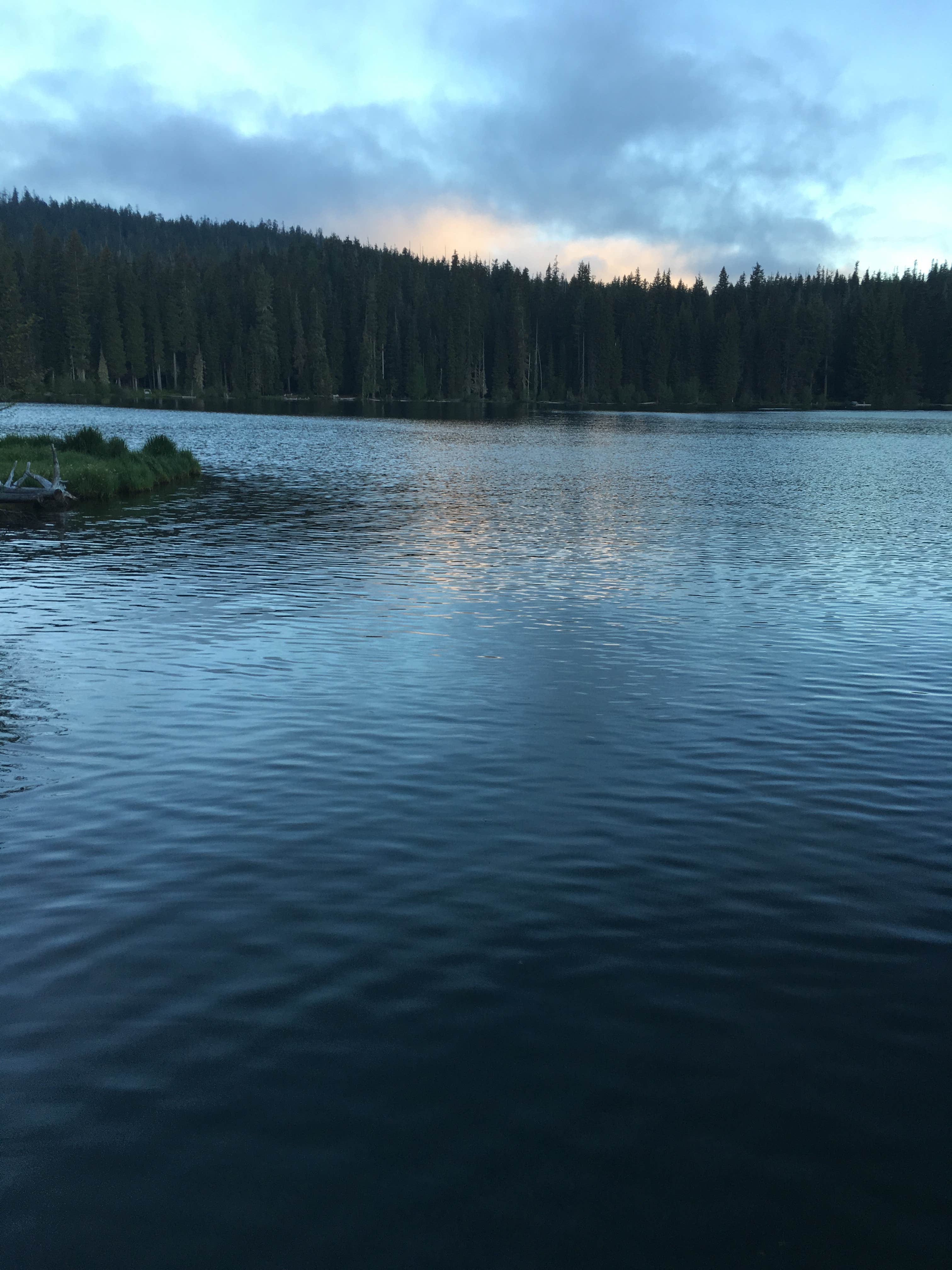 Camper submitted image from Trapper Creek Campground - 3