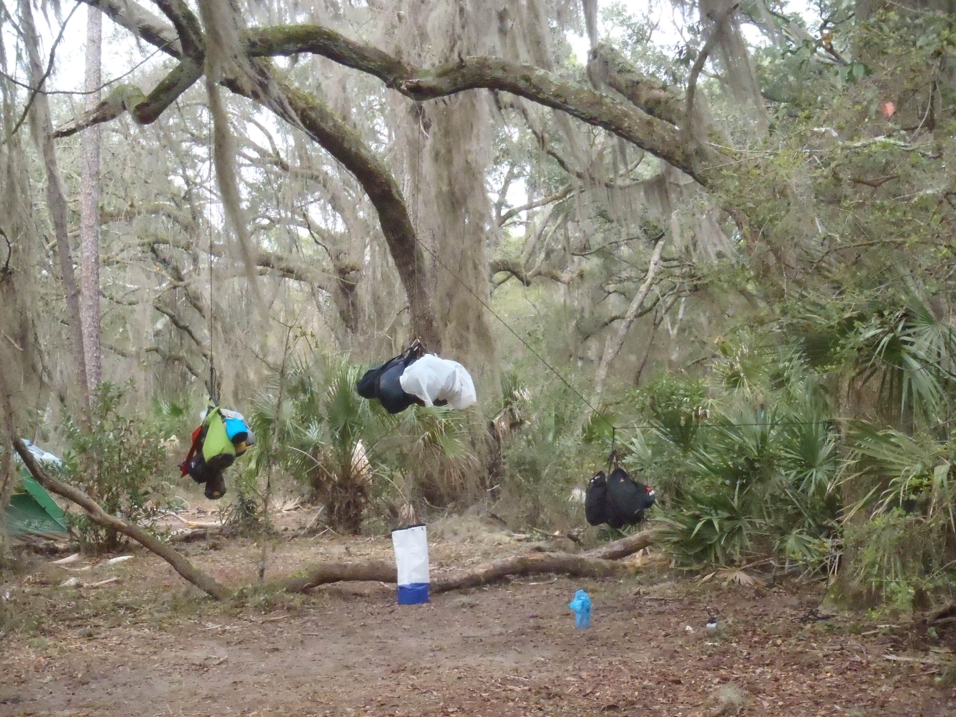 Camper-submitted photo at Yankee Paradise Wilderness Campsite — Cumberland Island National Seashore near Cumberland Island National Seashore