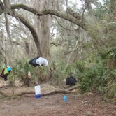 Review photo of Yankee Paradise Wilderness Campsite — Cumberland Island National Seashore by Sarah C., July 3, 2017