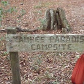 Review photo of Yankee Paradise Wilderness Campsite — Cumberland Island National Seashore by Sarah C., July 3, 2017