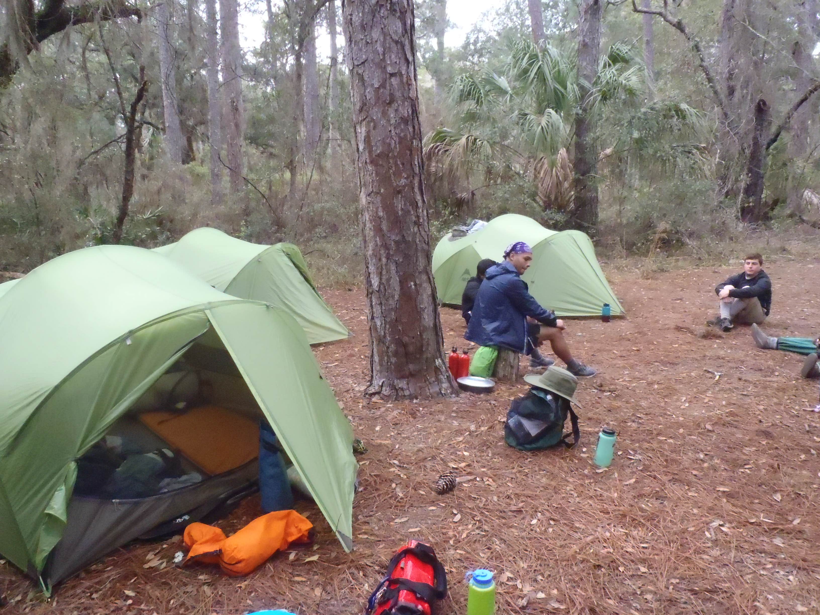 Sarah C.'s photo of tent camping at Yankee Paradise Wilderness Campsite — Cumberland Island National Seashore near Cumberland Island National Seashore