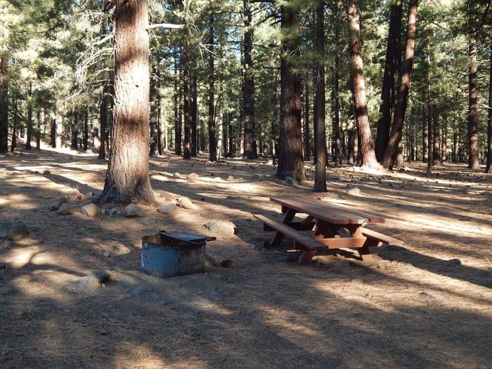 Camper submitted image from Tahoe National Forest Boca Spring Campground - 4