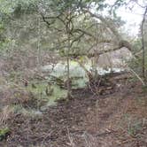 Review photo of Yankee Paradise Wilderness Campsite — Cumberland Island National Seashore by Sarah C., July 3, 2017