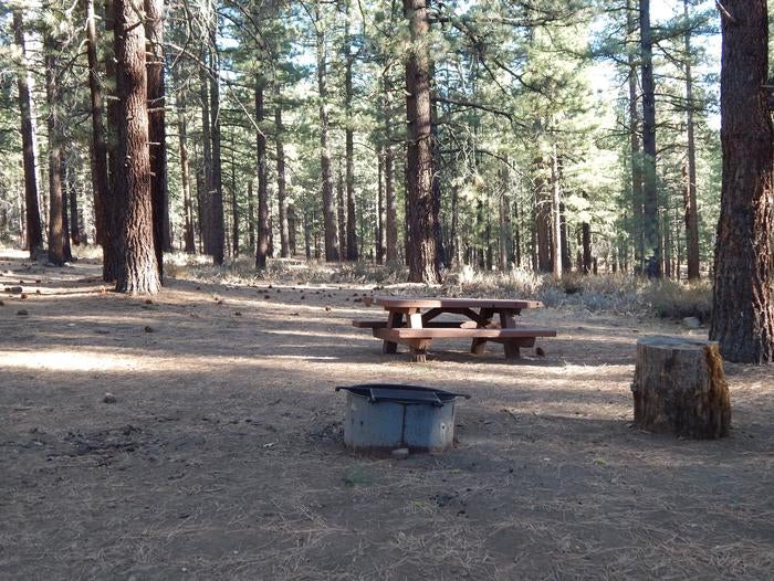 Camper submitted image from Tahoe National Forest Boca Spring Campground - 5
