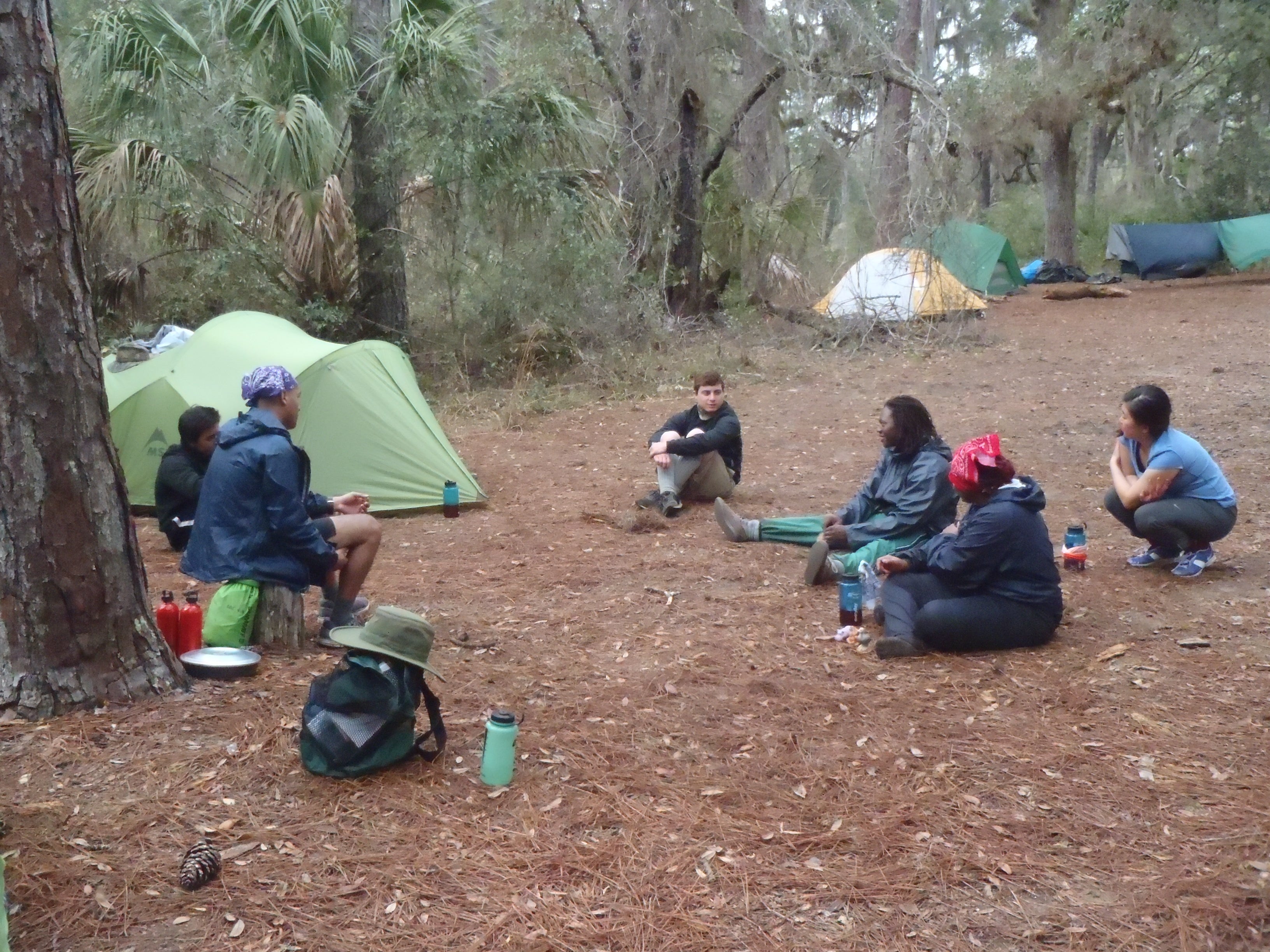 Camper submitted image from Yankee Paradise Wilderness Campsite — Cumberland Island National Seashore - 5