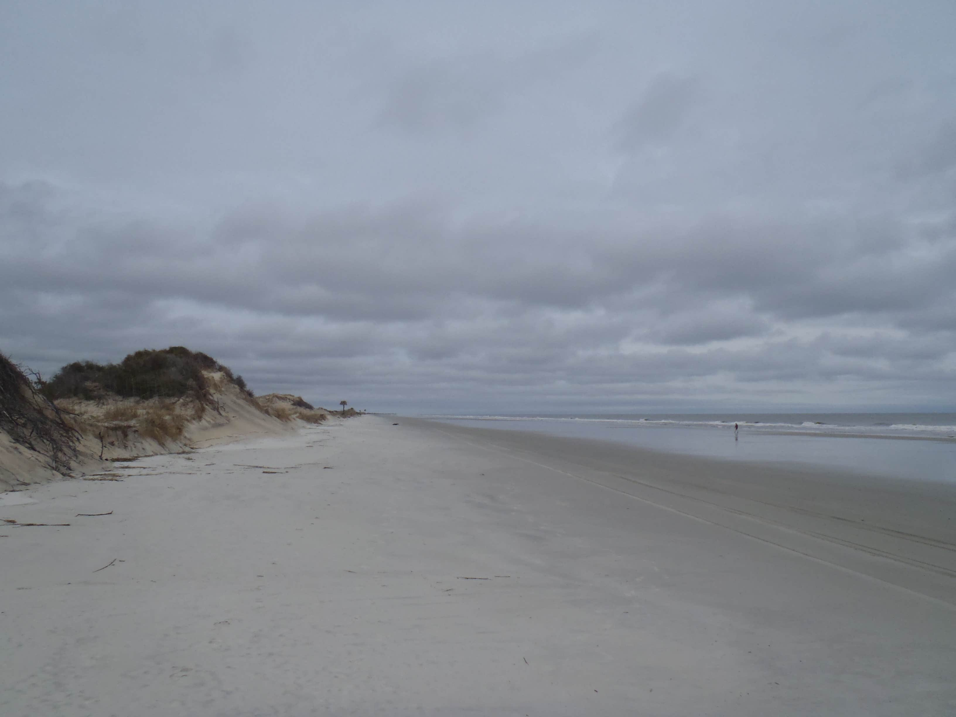Camper submitted image from Yankee Paradise Wilderness Campsite — Cumberland Island National Seashore - 3