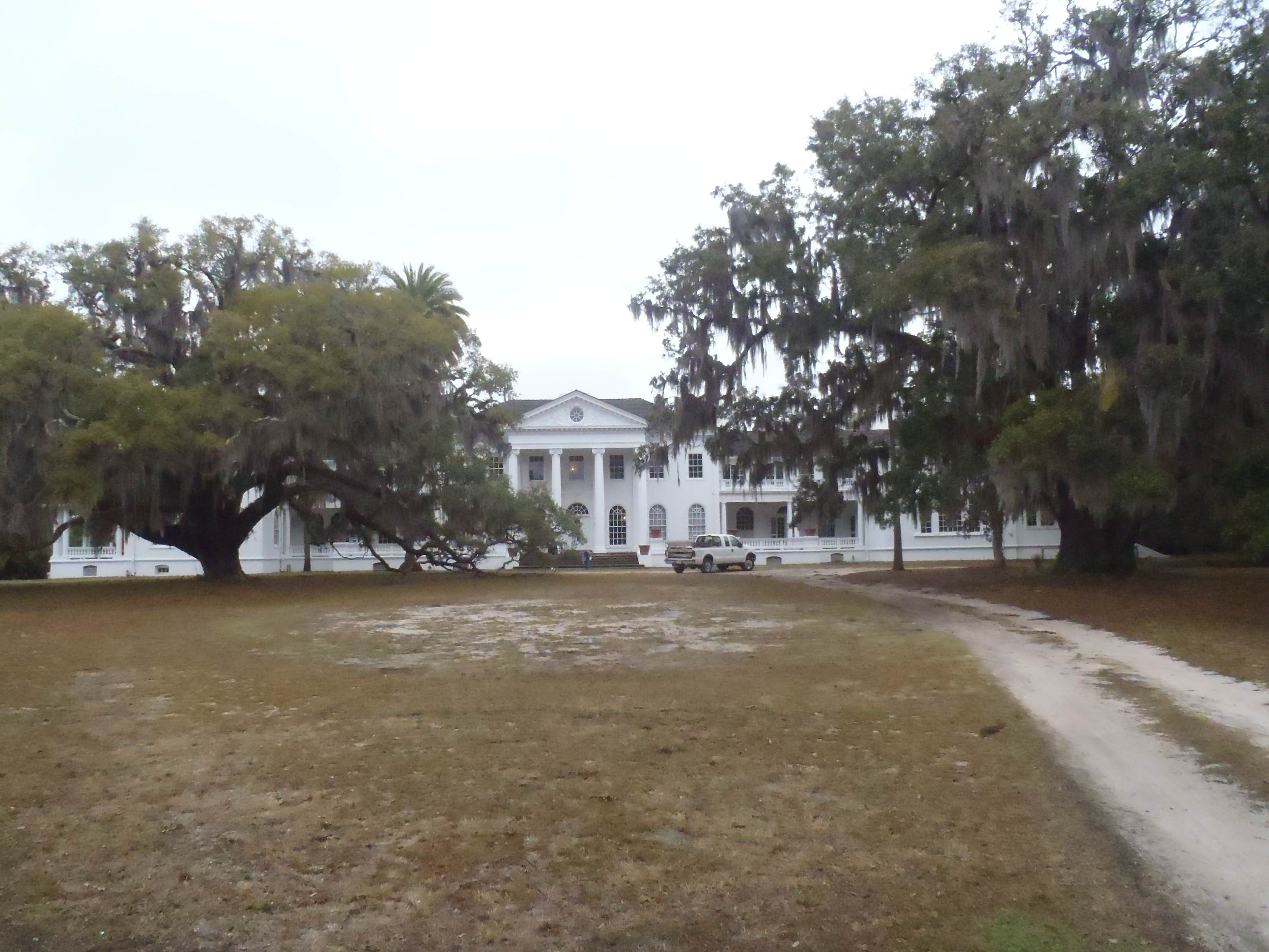 Camper submitted image from Yankee Paradise Wilderness Campsite — Cumberland Island National Seashore - 1