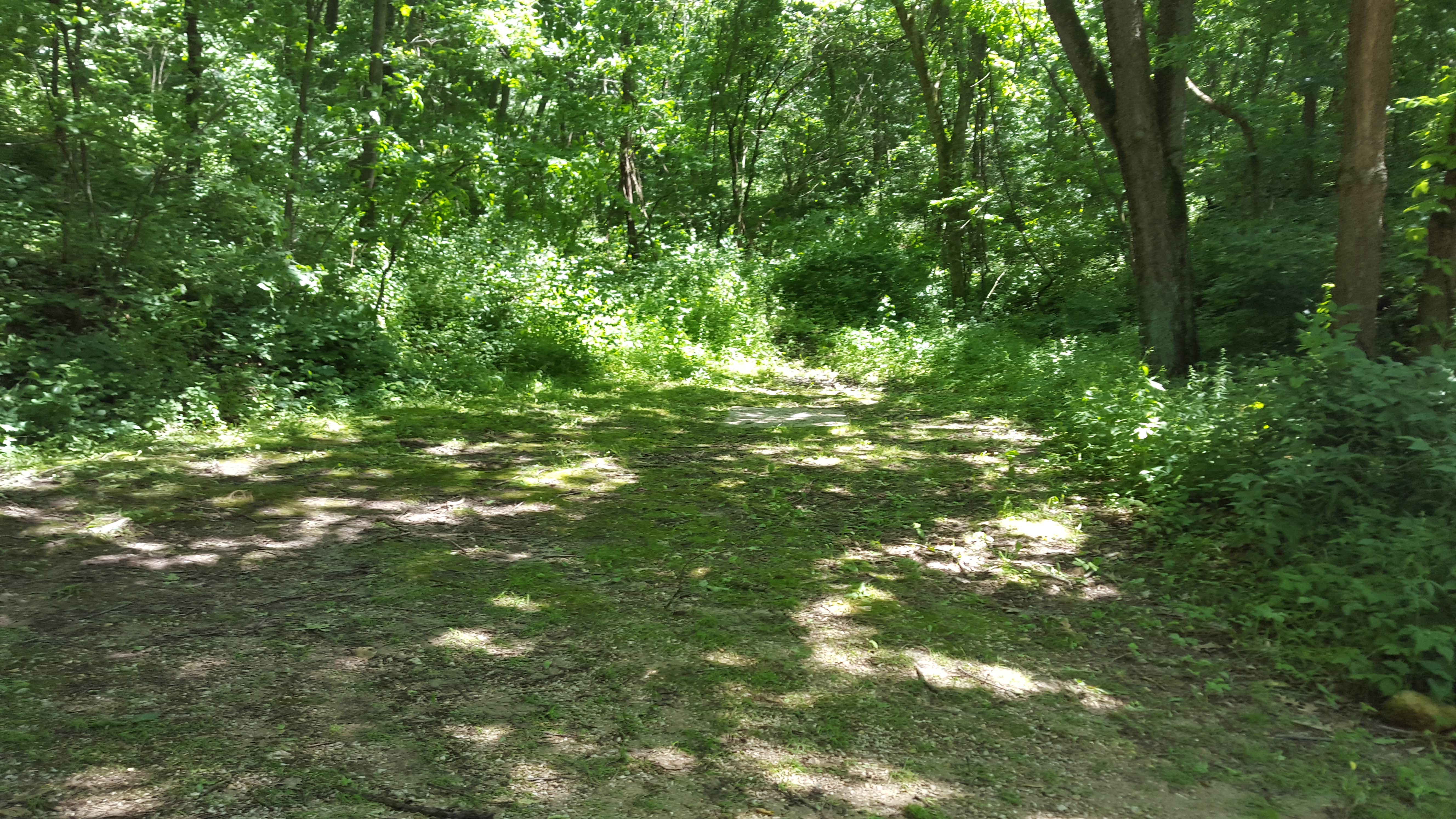 Camper submitted image from Boulder Creek Campground - 4