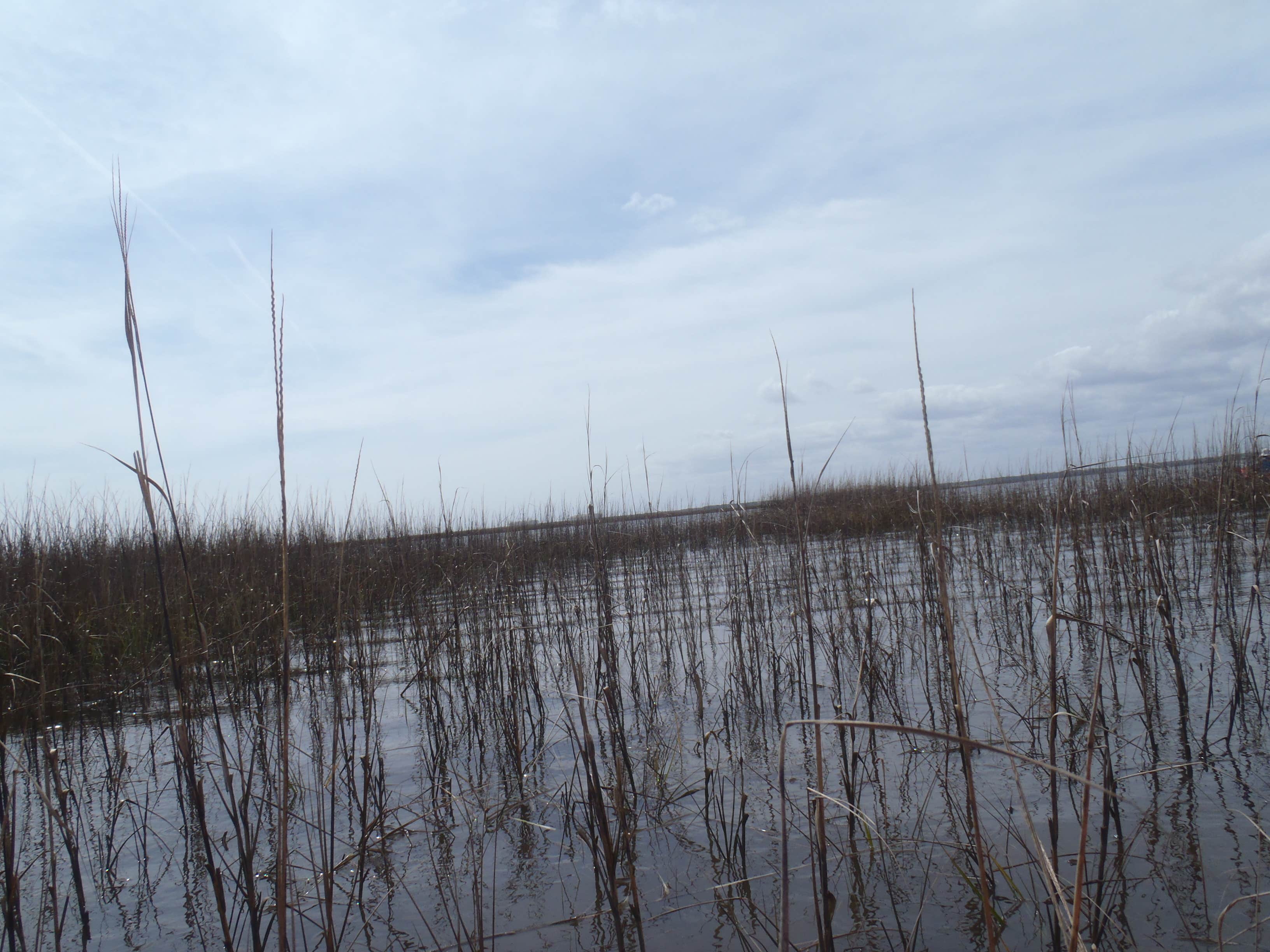 Camper submitted image from Brickhill Bluff Wilderness Campsite — Cumberland Island National Seashore - 4