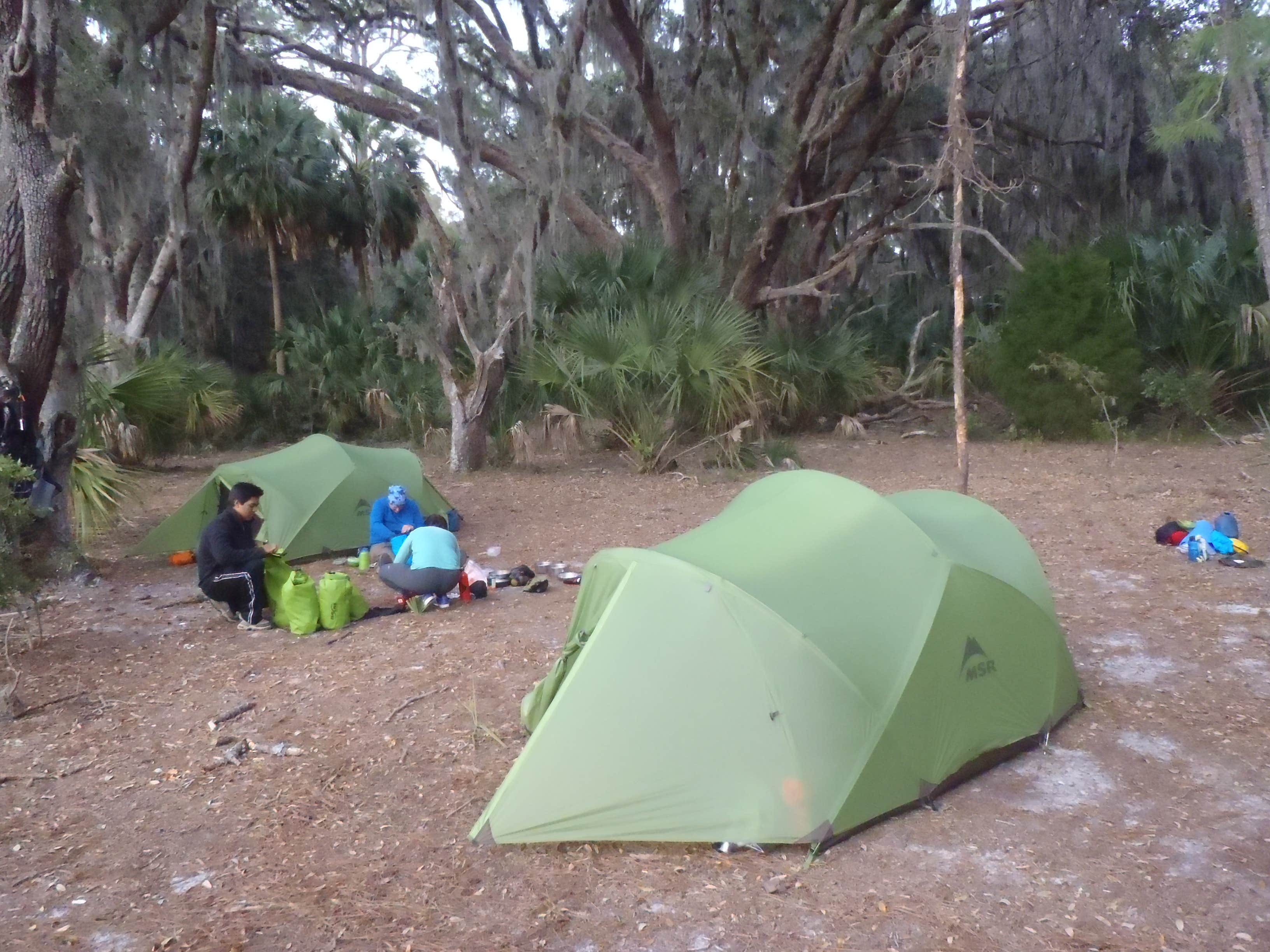 Sarah C.'s photo of tent camping at Brickhill Bluff Wilderness Campsite — Cumberland Island National Seashore near Cumberland Island National Seashore