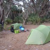 Review photo of Brickhill Bluff Wilderness Campsite — Cumberland Island National Seashore by Sarah C., July 3, 2017
